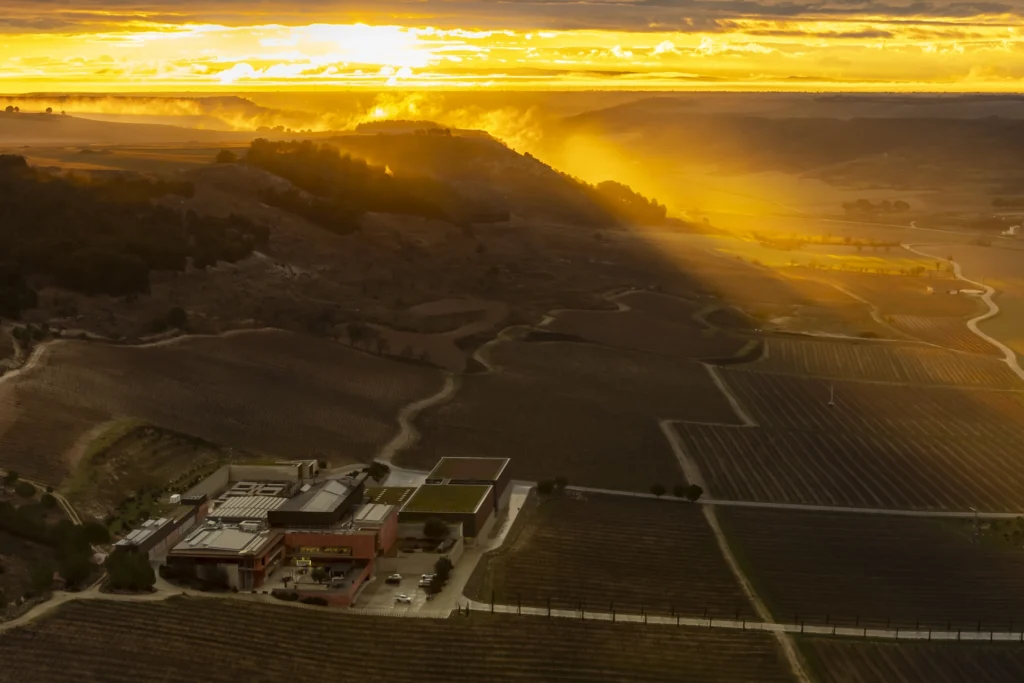 Bodega Pago de Carraovejas