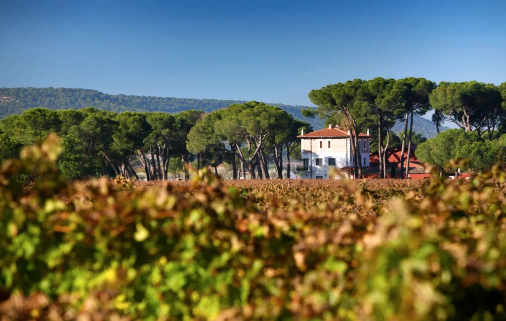Bodega Finca Villacreces