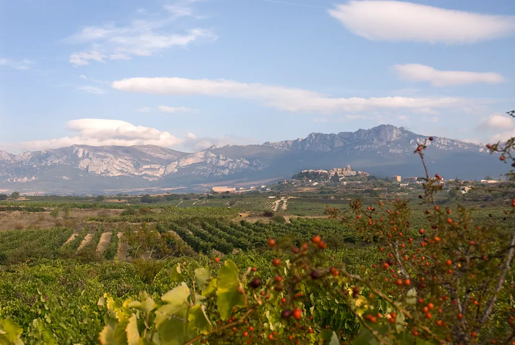 Bodega Orben