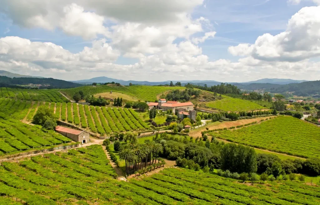 Bodega Pazo de Baion
