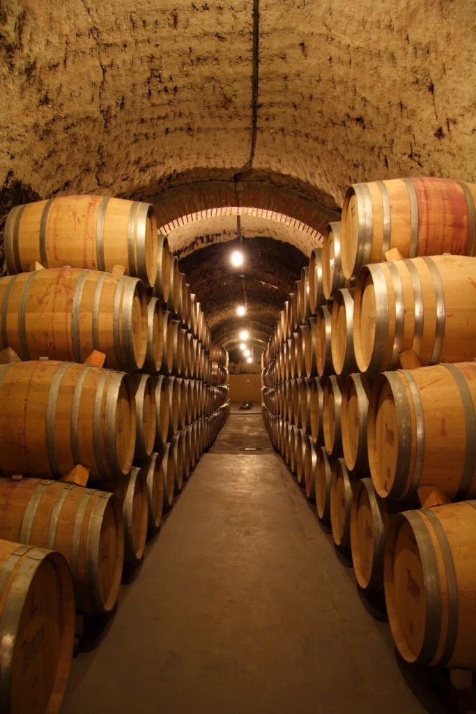 Bodega Protos