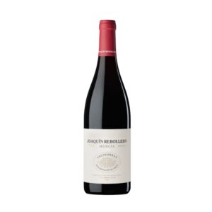 Botella de Joaquín Rebolledo Mencía 2024, vino tinto D.O. Valdeorras