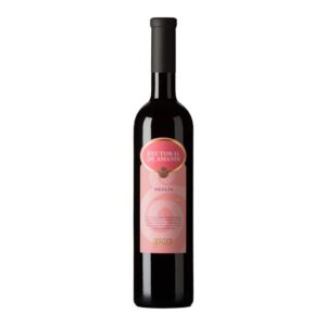 Botella de Rectoral de Amandi Mencía 2024, vino tinto D.O. Ribeira Sacra
